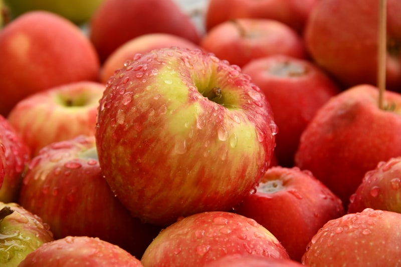 Fresh Apple